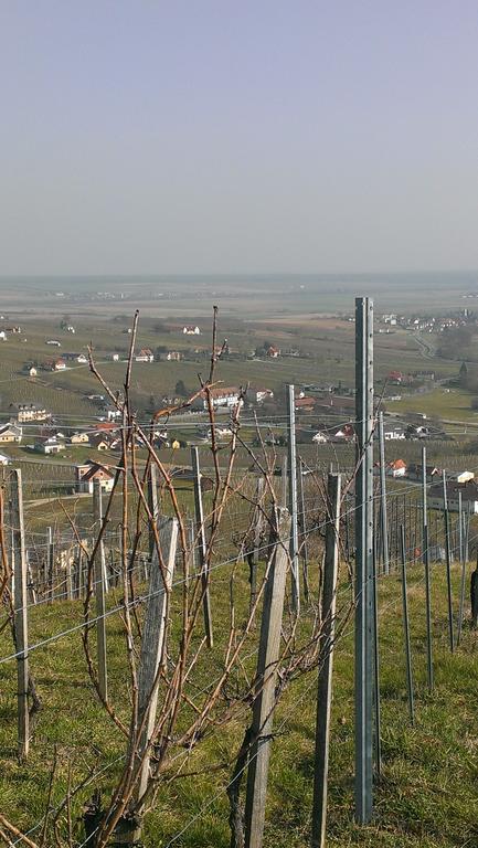 Willa Kellerstoeckl Kamper Eisenberg an der Pinka Zewnętrze zdjęcie