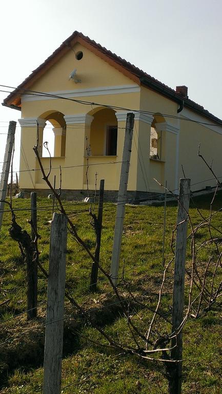 Willa Kellerstoeckl Kamper Eisenberg an der Pinka Zewnętrze zdjęcie