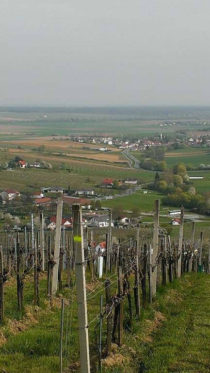 Willa Kellerstoeckl Kamper Eisenberg an der Pinka Zewnętrze zdjęcie